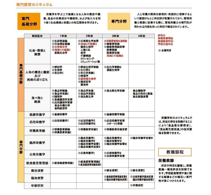 栄養学科カリキュラム